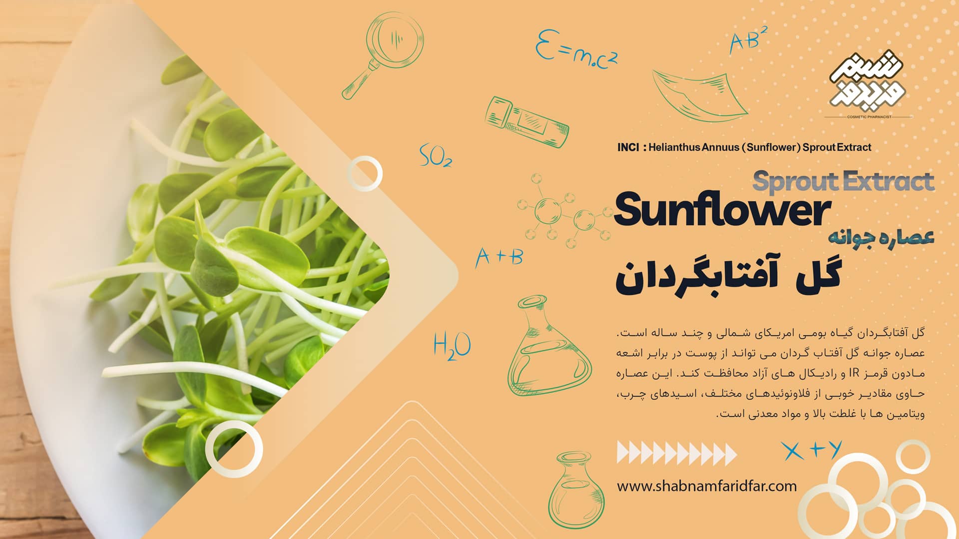 عصاره جوانه گل آفتاب گردان در کازمتیک