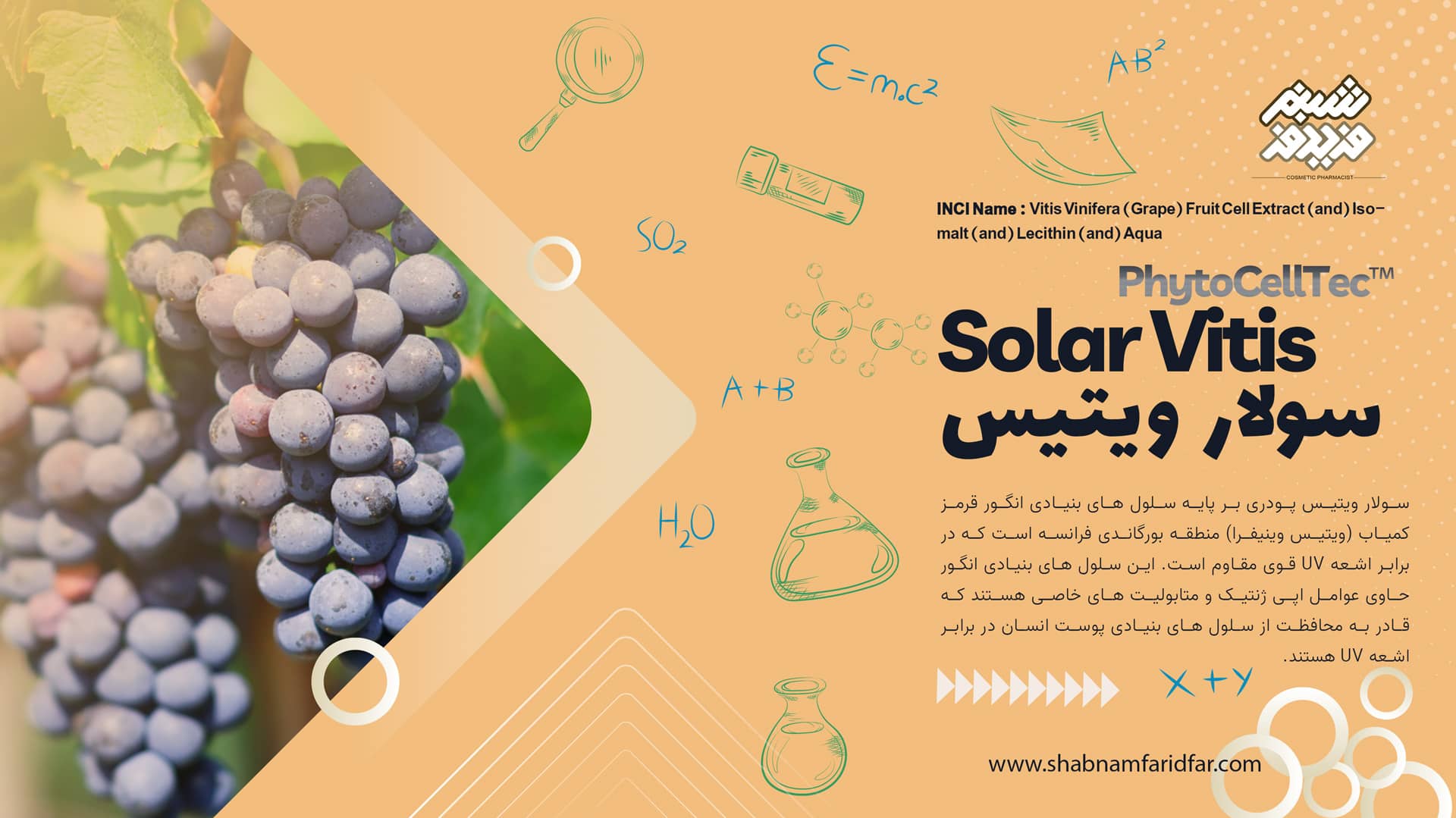 سولار ویتیس