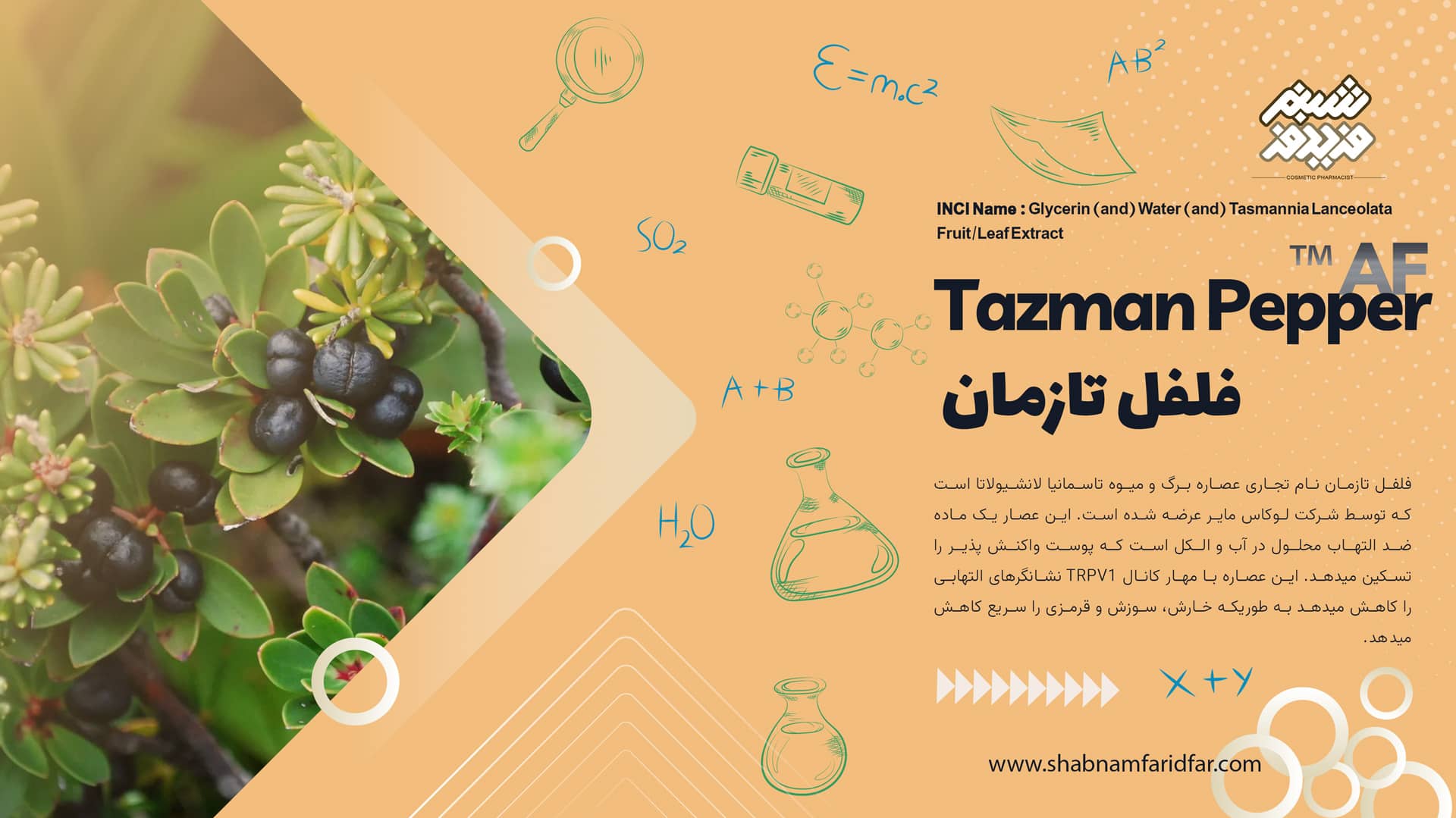 فلفل تازمان در کازمتیک