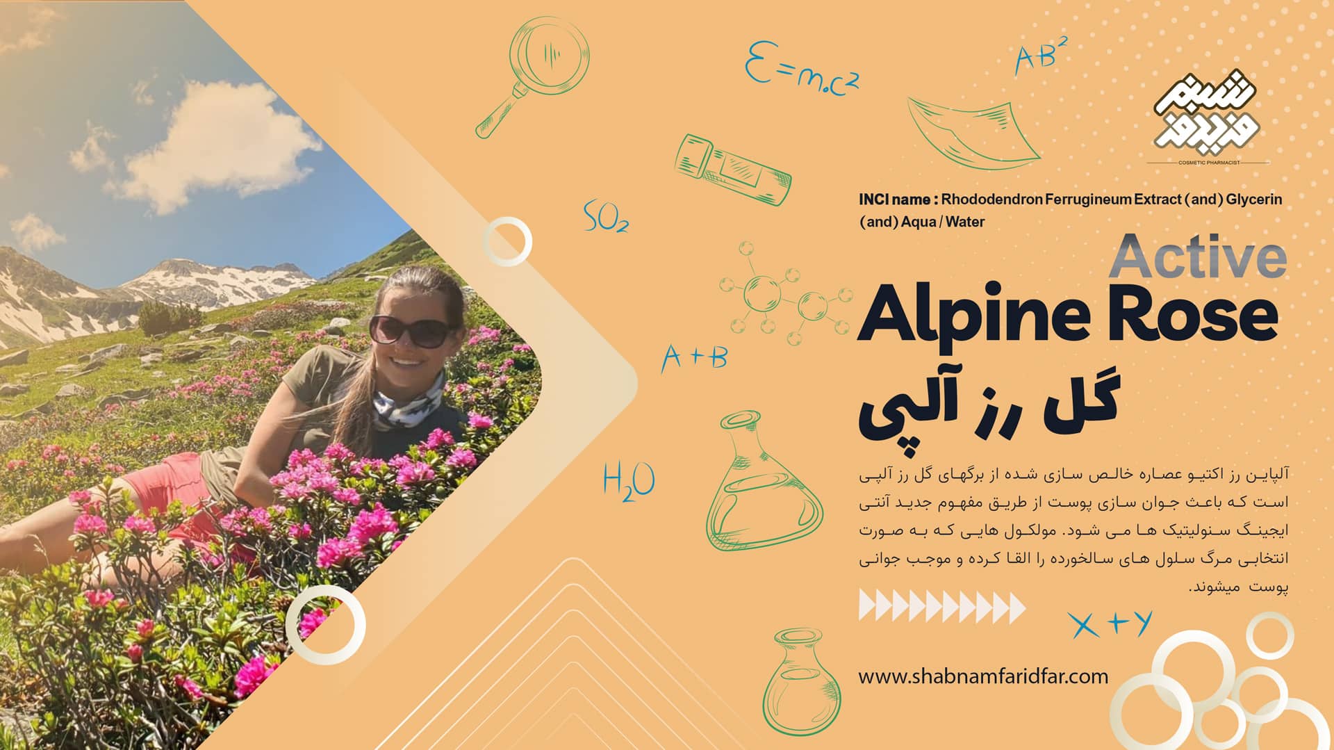 آلپاین رز اکتیو