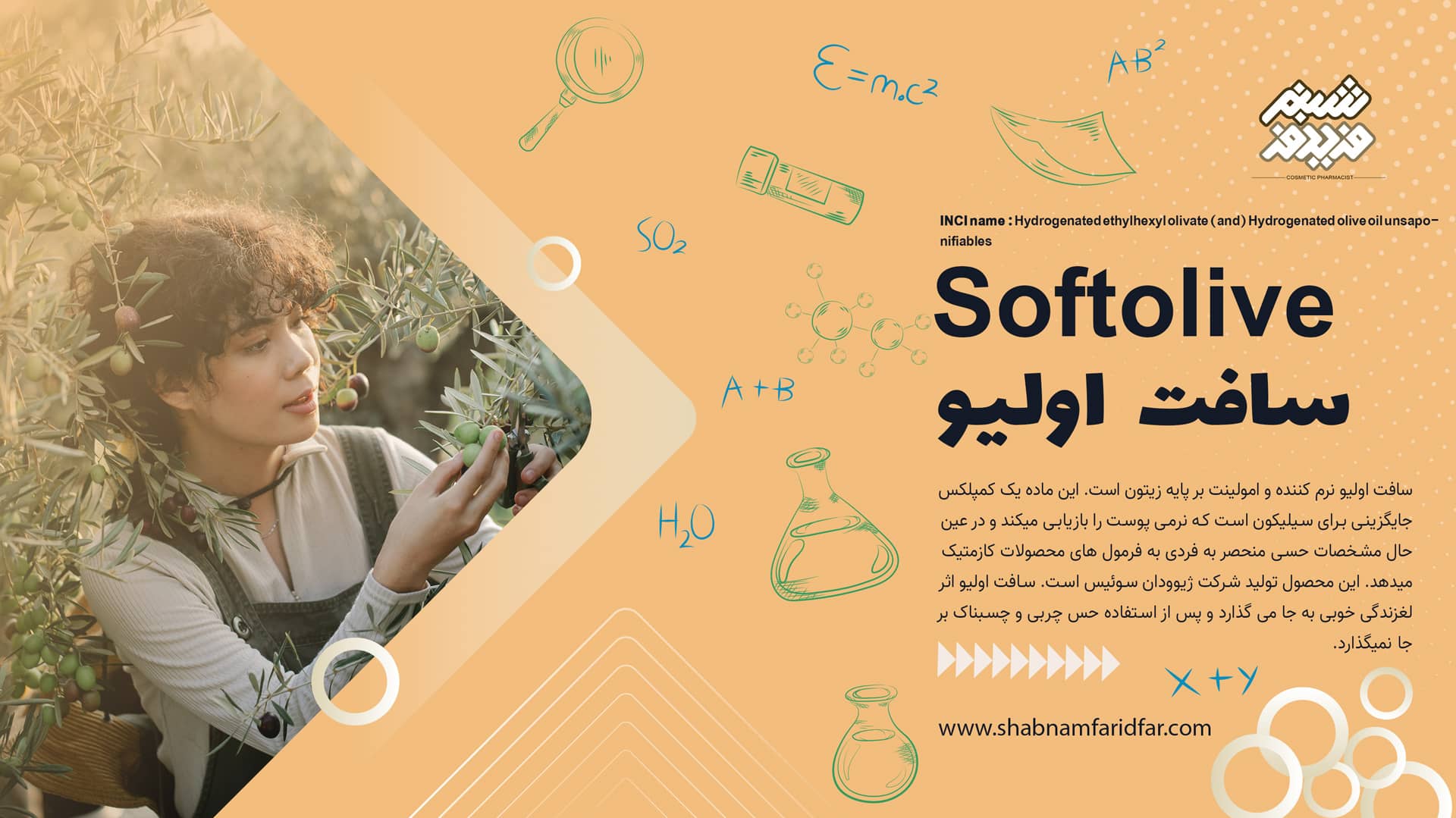 سافت اولیو
