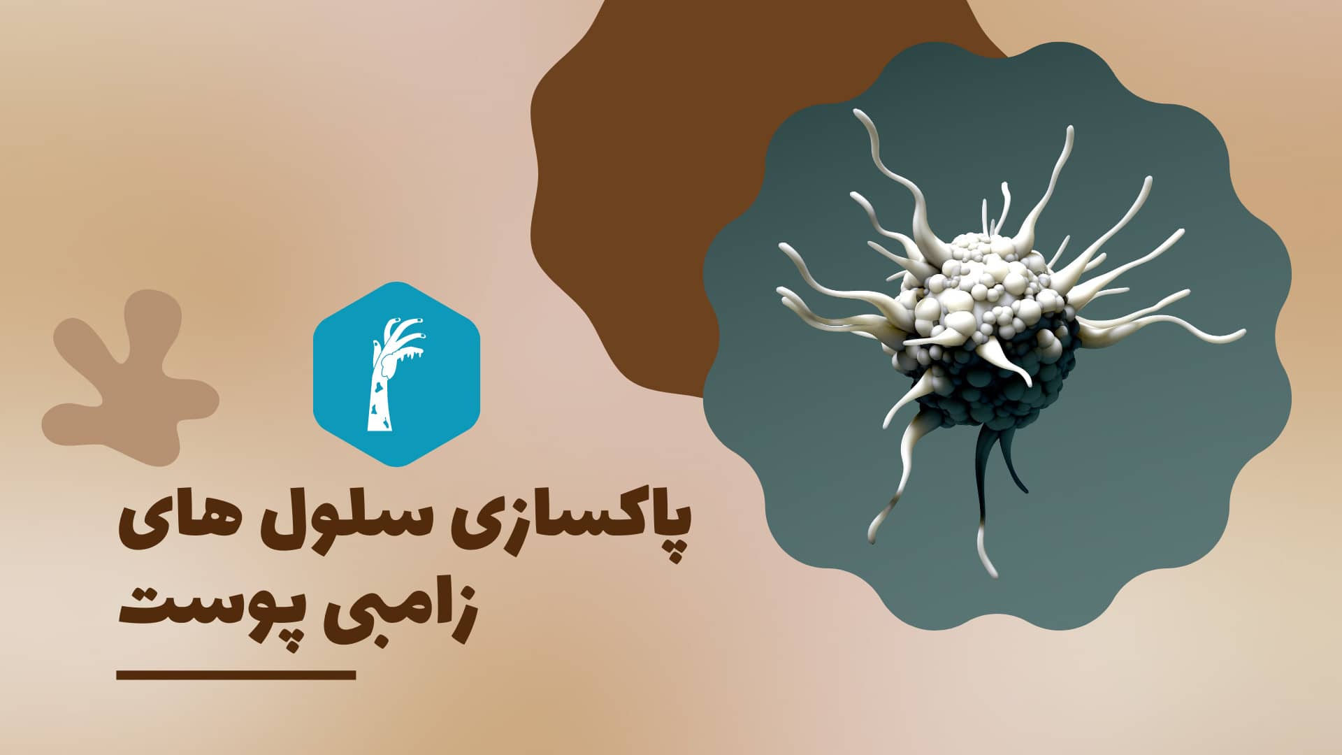 سلولهای زامبی در پوست