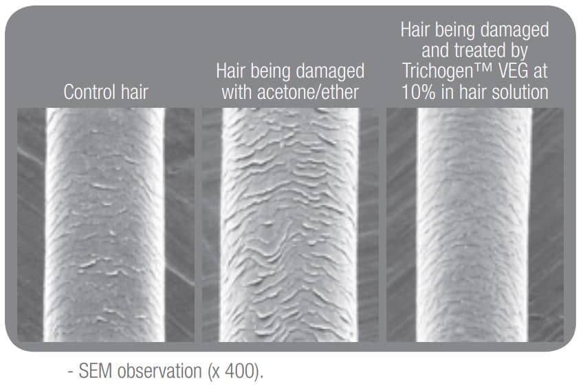 What is Trichogen?
